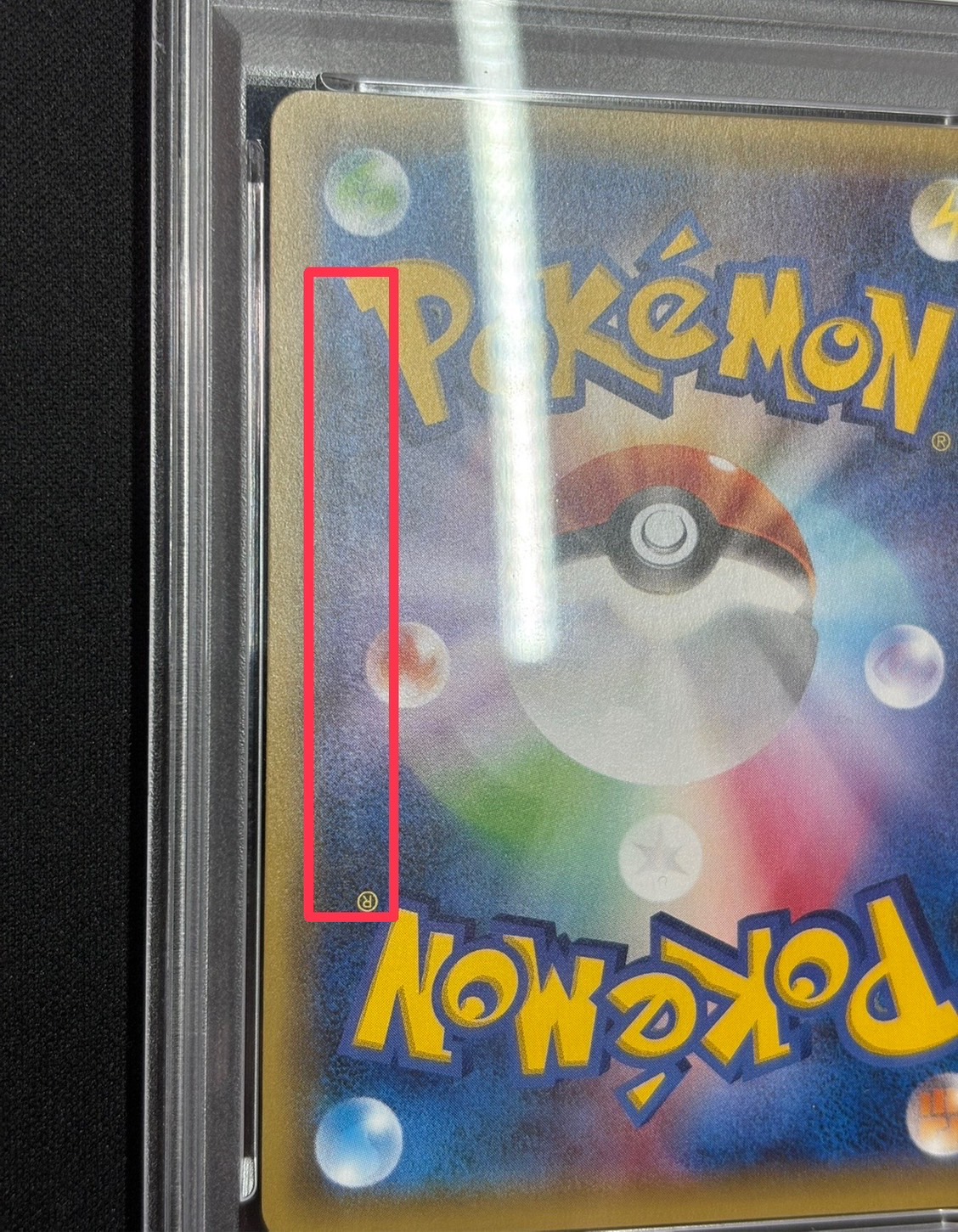 [*Condition: Poor / PSA 8 Certified] Pikachu in a Poncho [P] {231/XY-P} 1枚
