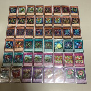 遊戯王 捕食植物 デッキ