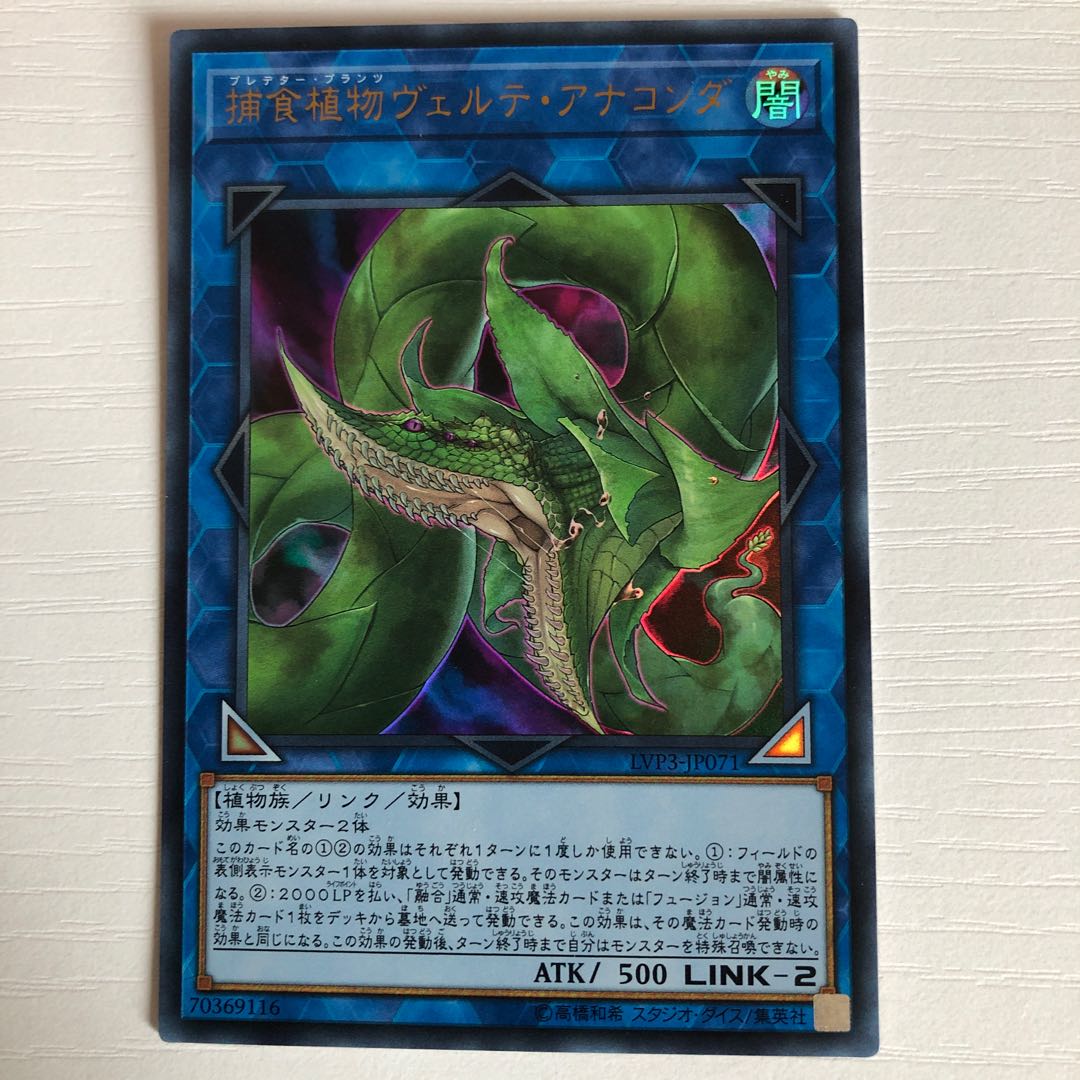 【美品】捕食植物ヴェルテ・アナコンダ UR