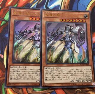 教導の騎士フルルドリス