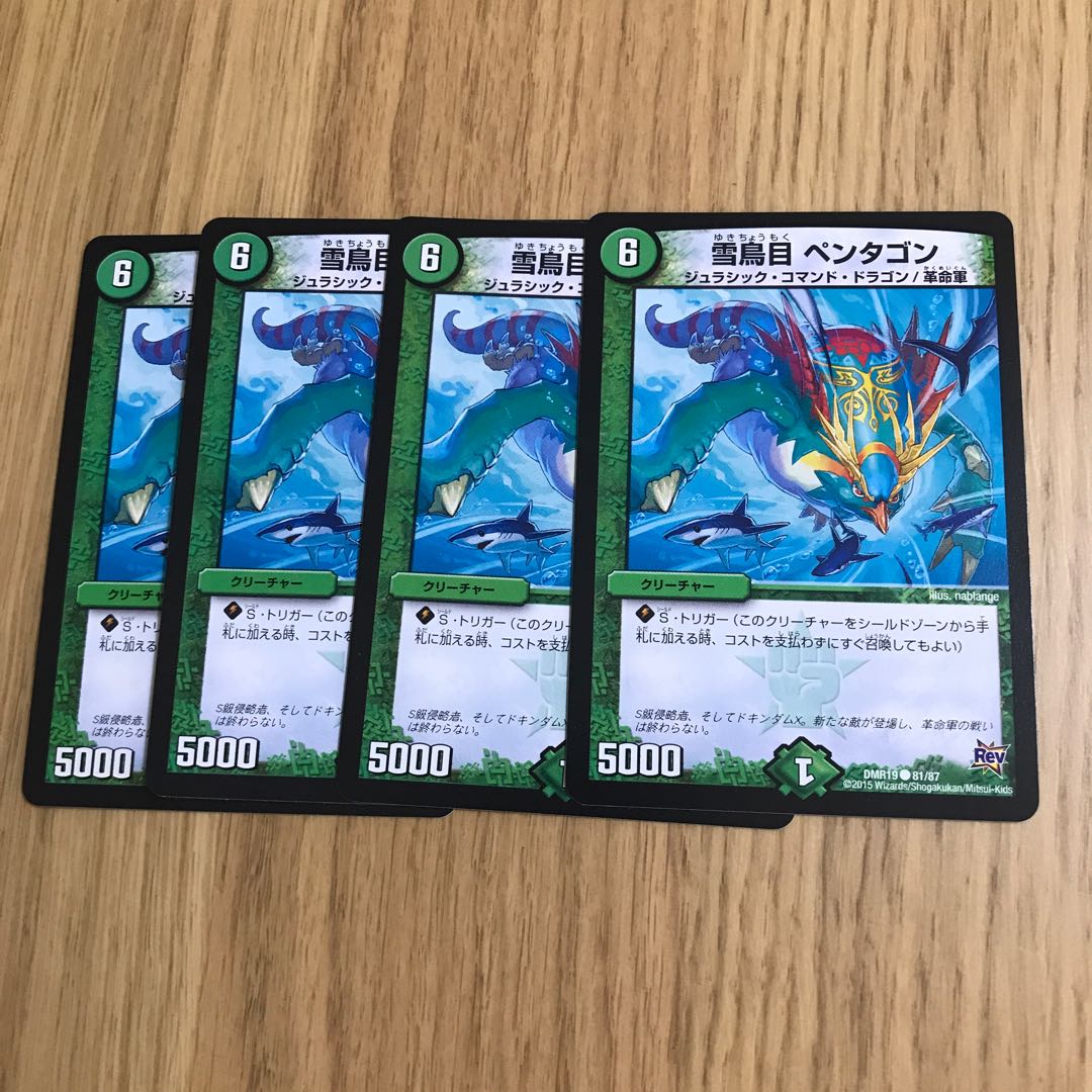 雪鳥目 ペンタゴン③ 1枚