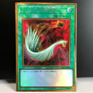 ハーピィの羽根帚 PGR