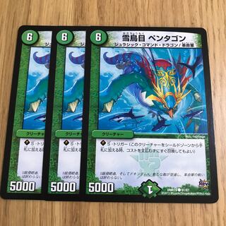 雪鳥目 ペンタゴン 1枚