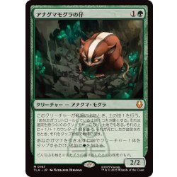 (FOIL) Badgermole Cub《Japanese》【TLA】 1枚