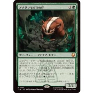 (FOIL) Badgermole Cub《Japanese》【TLA】 1枚