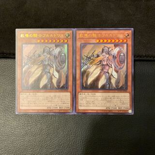 教導の騎士フルルドリス UR