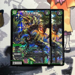 ブラキオ龍樹　写真立て115