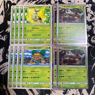 ナエトル　ハヤシガメ   ドダイトス