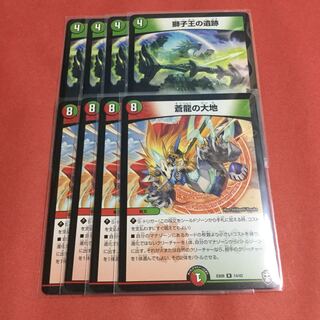 蒼龍の大地 ×4 獅子王の遺跡 ×4