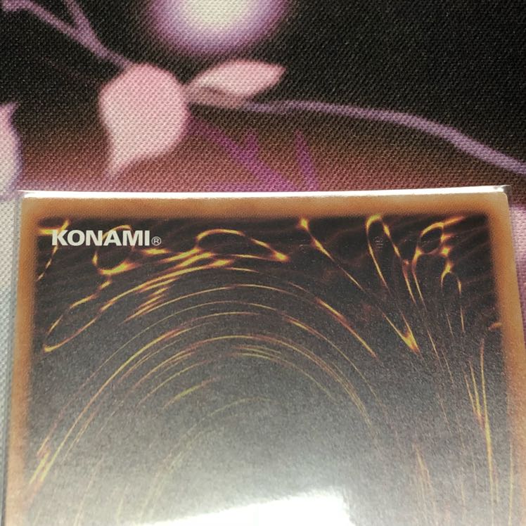 万物創世龍 美品