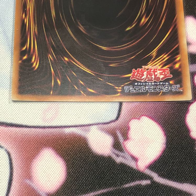 万物創世龍 美品