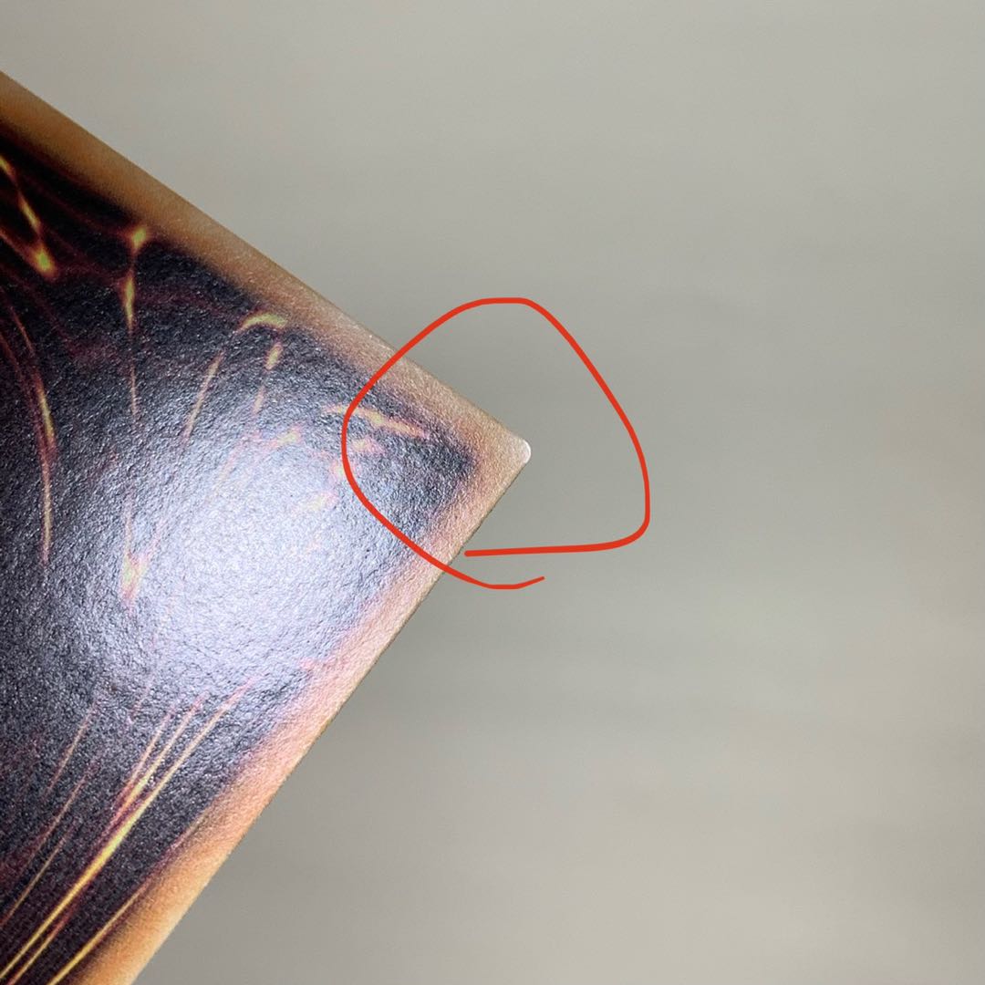 ヌメロン・ネットワーク SE 海外版