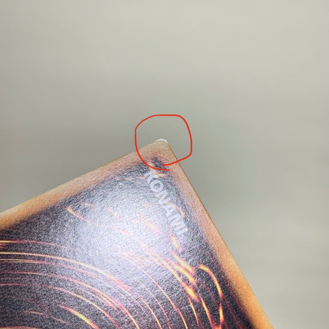 ヌメロン・ネットワーク SE 海外版