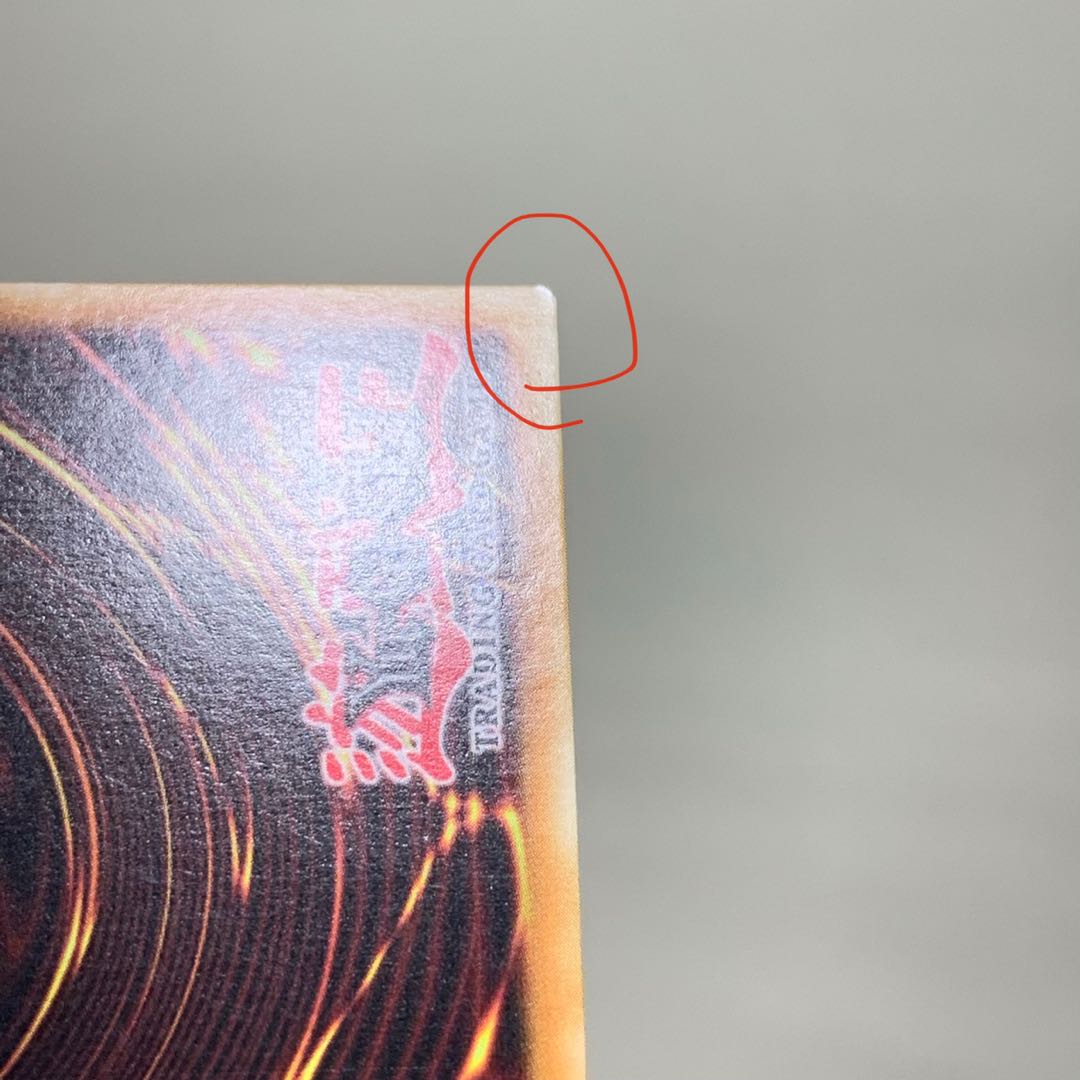 ヌメロン・ネットワーク SE 海外版