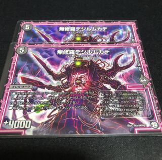 無修羅デジルムカデ VR ２枚