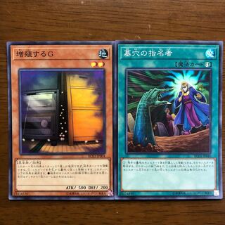 墓穴の指名者 SR