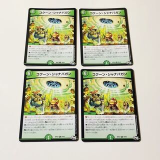 コクーン・シャナバガン 4枚