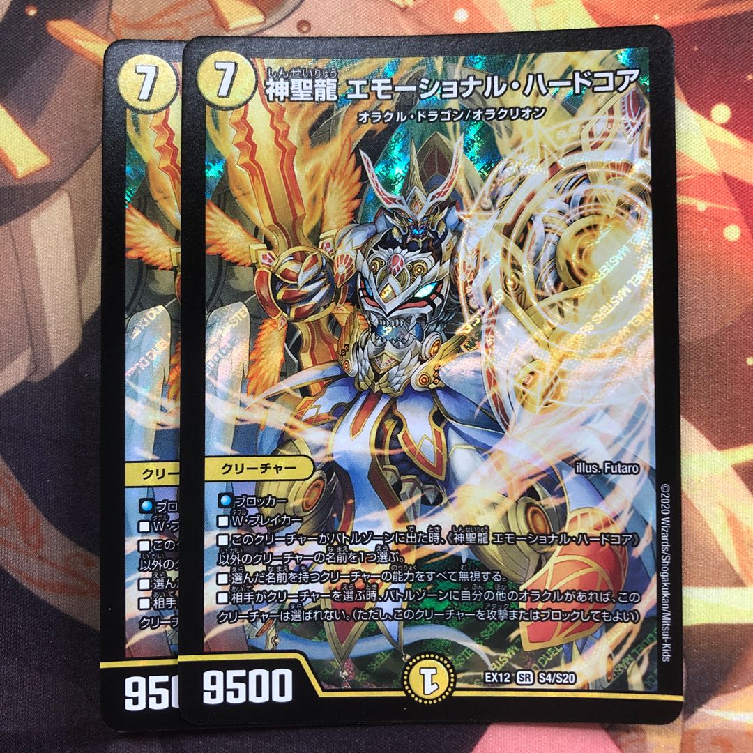 神聖龍 エモーショナル・ハードコア