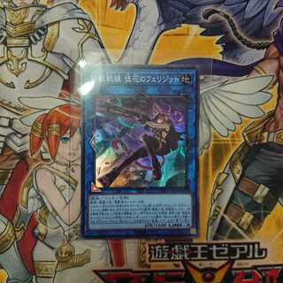 鉄獣戦線 徒花のフェリジット SR