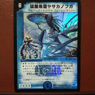 Set Discounts Ferocious Fungus Fish Lightning Yasakanofuka