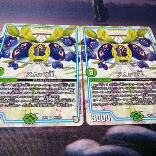 ラフシア　２枚　バツトラの父　２枚　シェイクシャーク　２枚　スカップⅢ　２枚