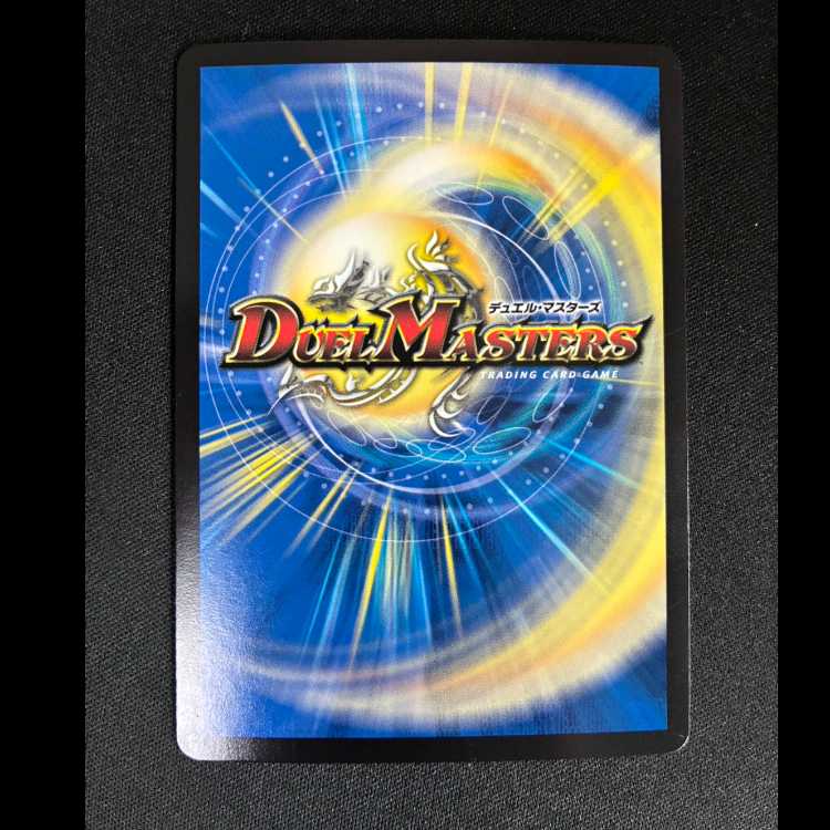 #The Choice Between Forbidden Spells and Sacred Verses (Secret SP Rare Edition) VR 12B/22 1枚