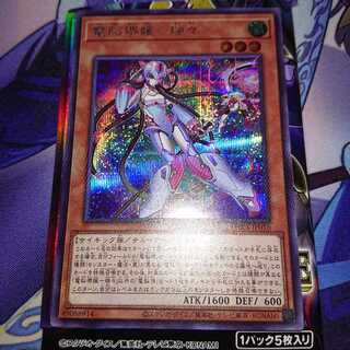 電脳堺媛-瑞々 シークレット