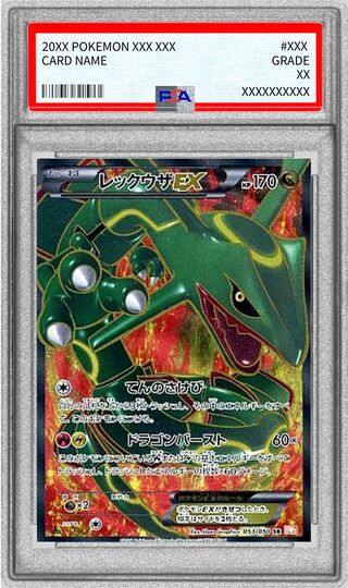 [*Poor Condition / PSA 10 Graded] Rayquaza EX [SR] {053/050} 1