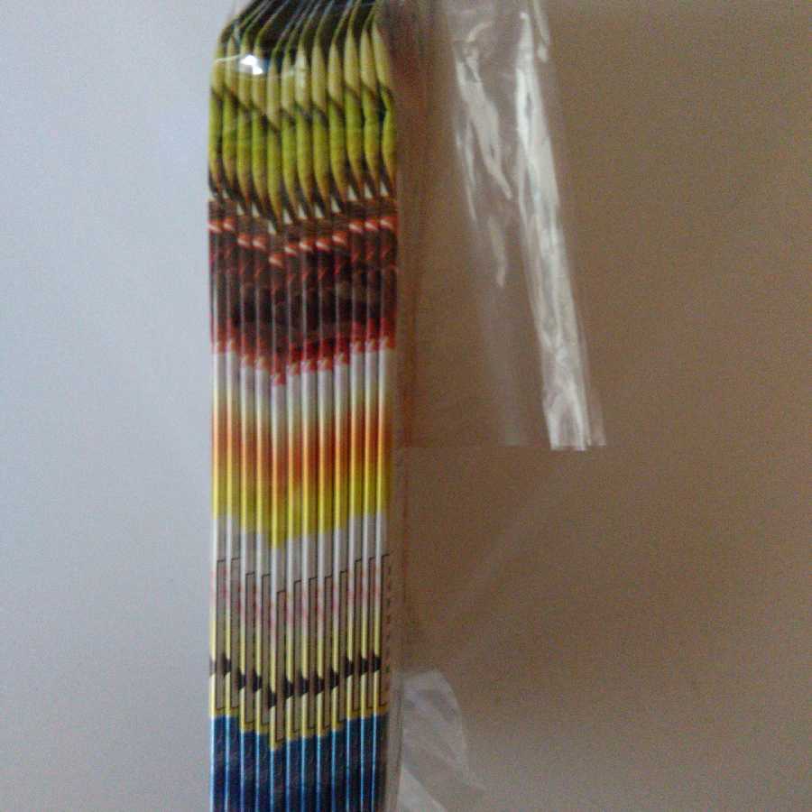 聖拳編 12パック