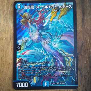 海姫龍 ライベルモット・ビターズ