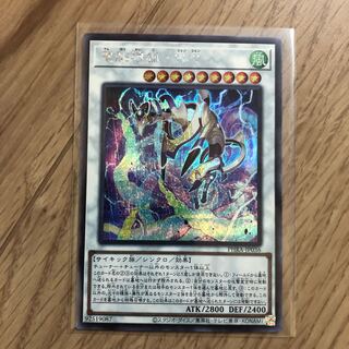 電脳堺狐-仙々 SE