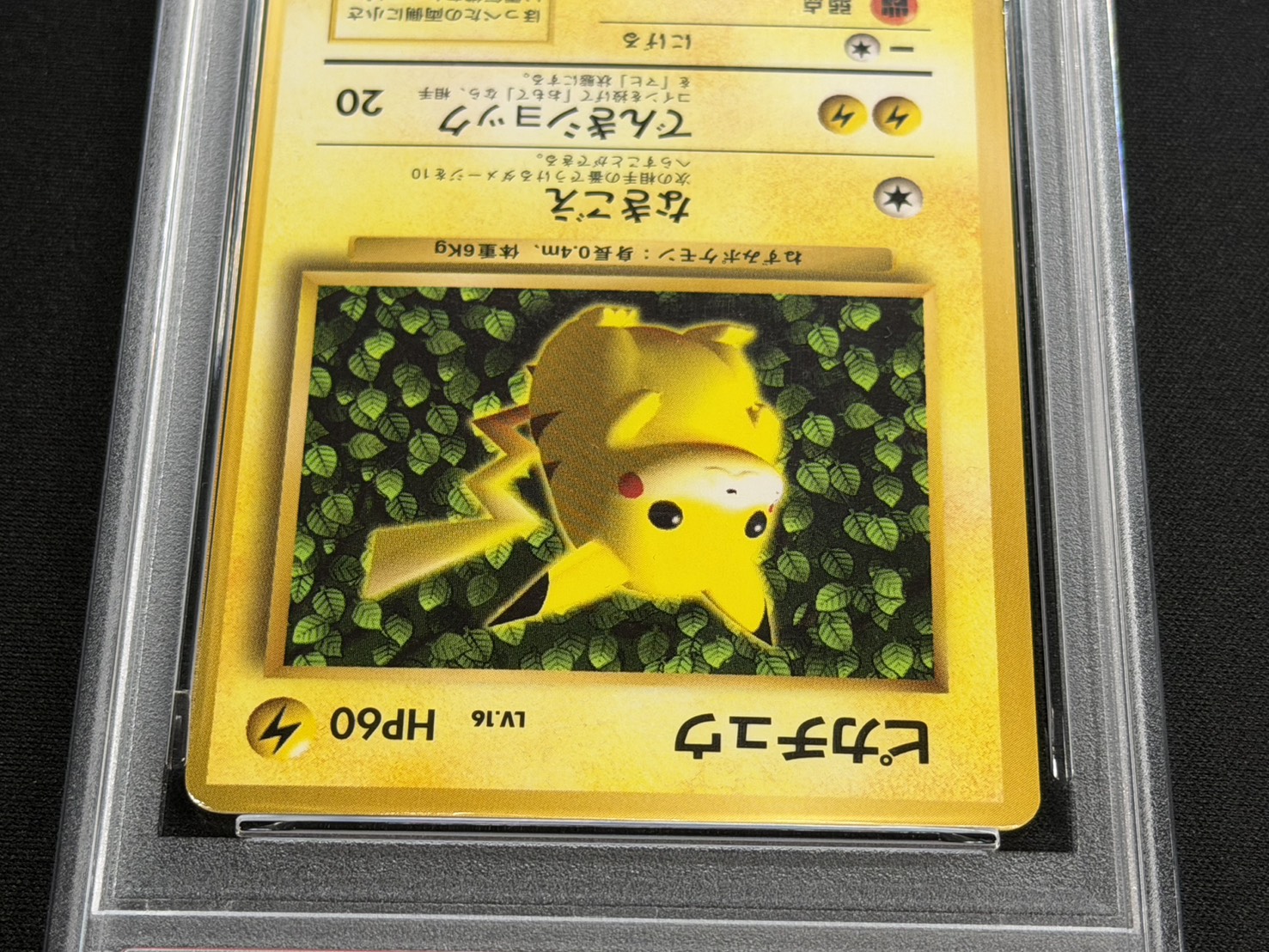 [PSA7 Graded] Pikachu LV.16 (Glossy) [-] {Old Back} 1枚