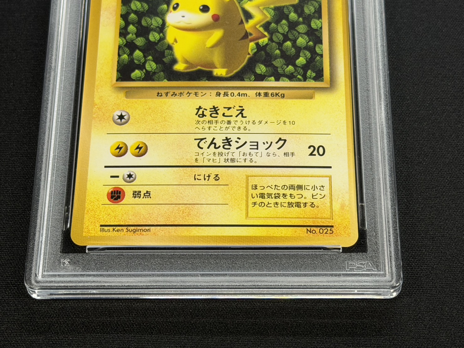 [PSA7 Graded] Pikachu LV.16 (Glossy) [-] {Old Back} 1枚