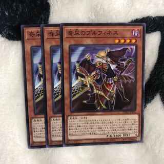 奇采のプルフィネス