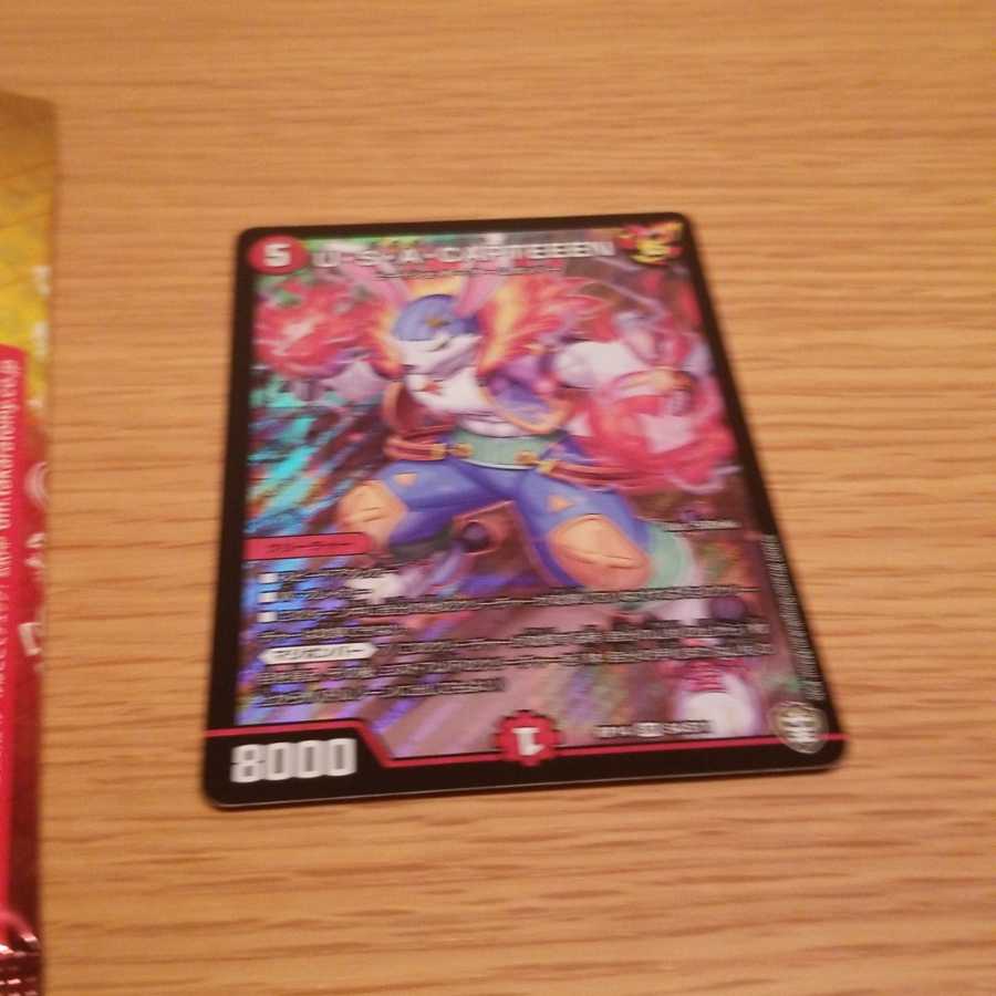 U・S・A・CAPTEEEN SR