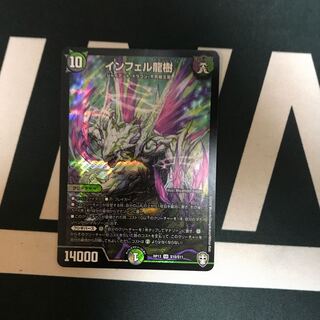 Infel Ryuki (species of dragonfly, Anguilla infelica)