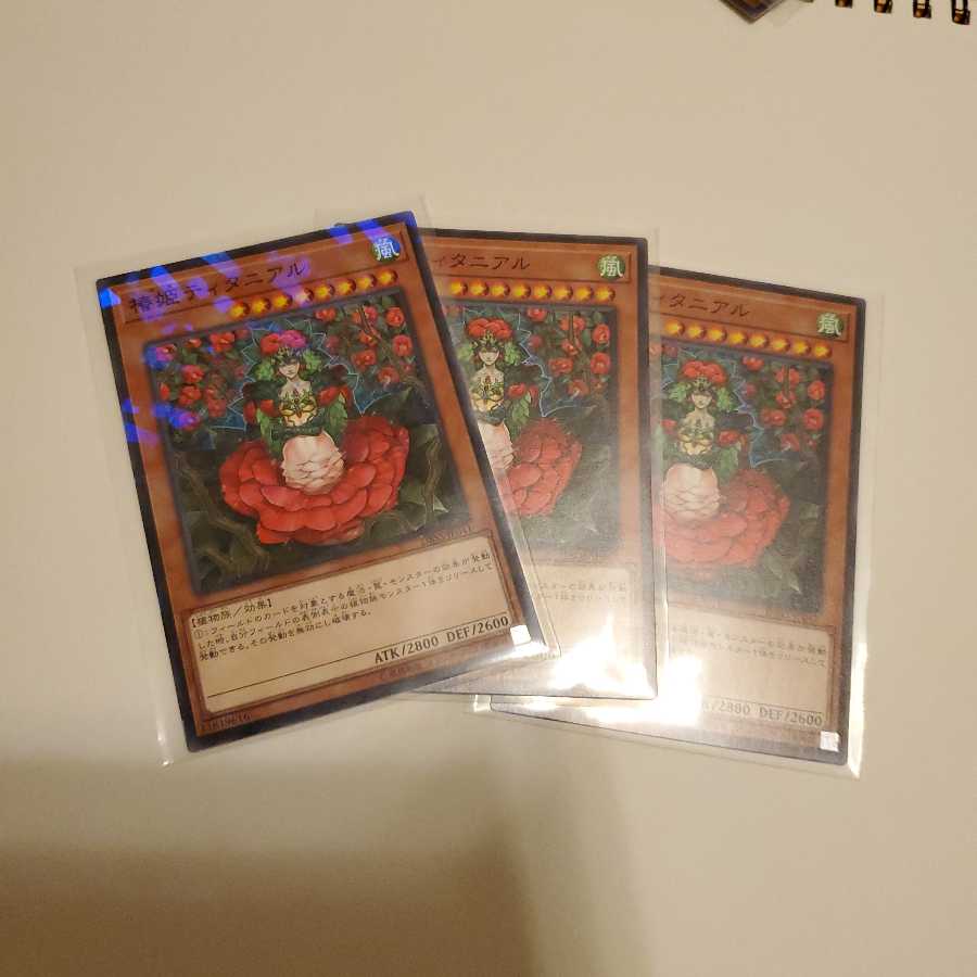 椿姫ティタニアル