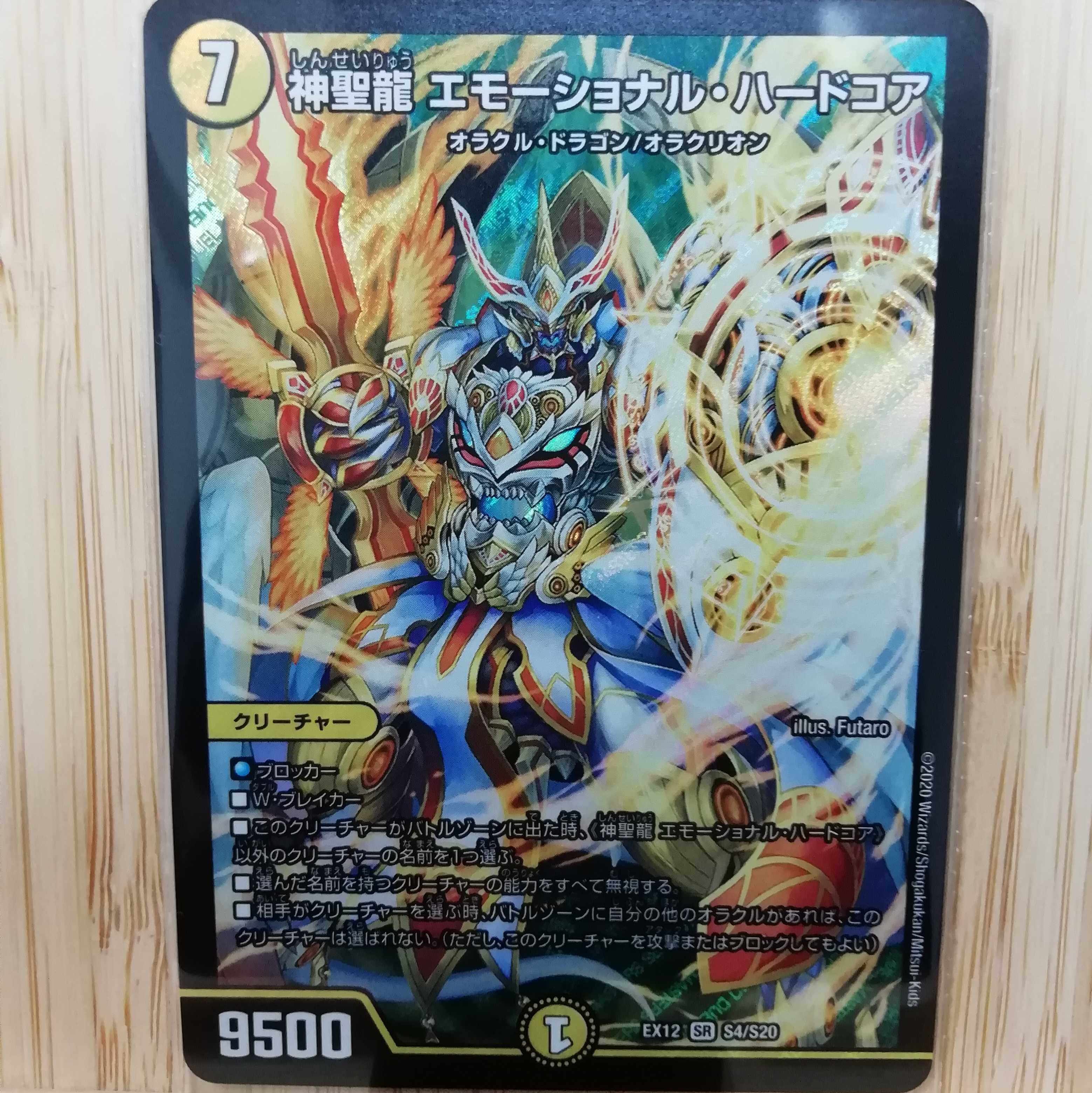 神聖龍 エモーショナル・ハードコア