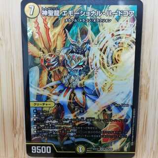 神聖龍 エモーショナル・ハードコア