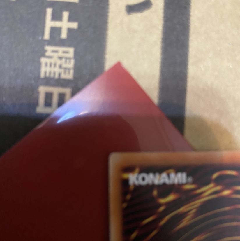 教導の聖女　エクレシア　シク　シークレット