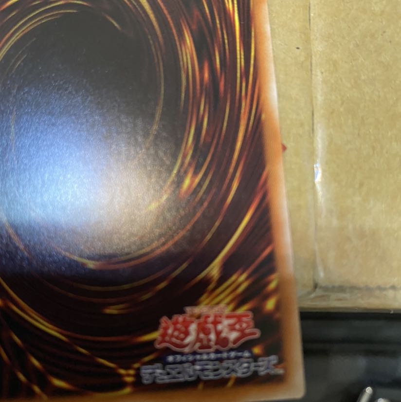 教導の聖女　エクレシア　シク　シークレット