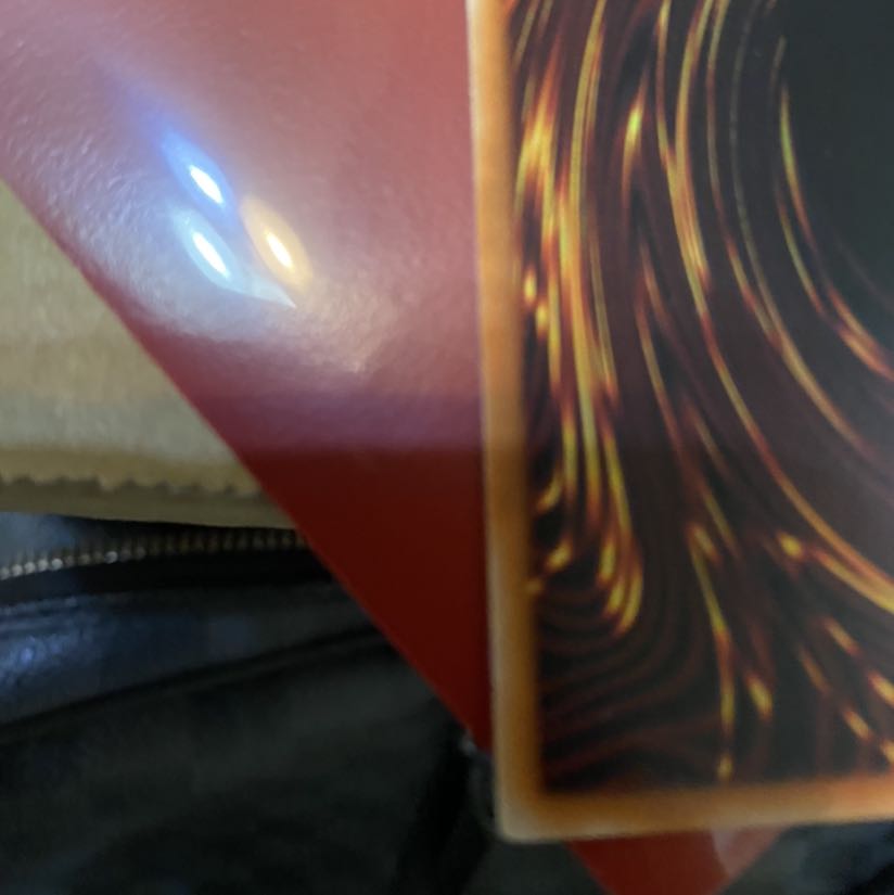 教導の聖女　エクレシア　シク　シークレット