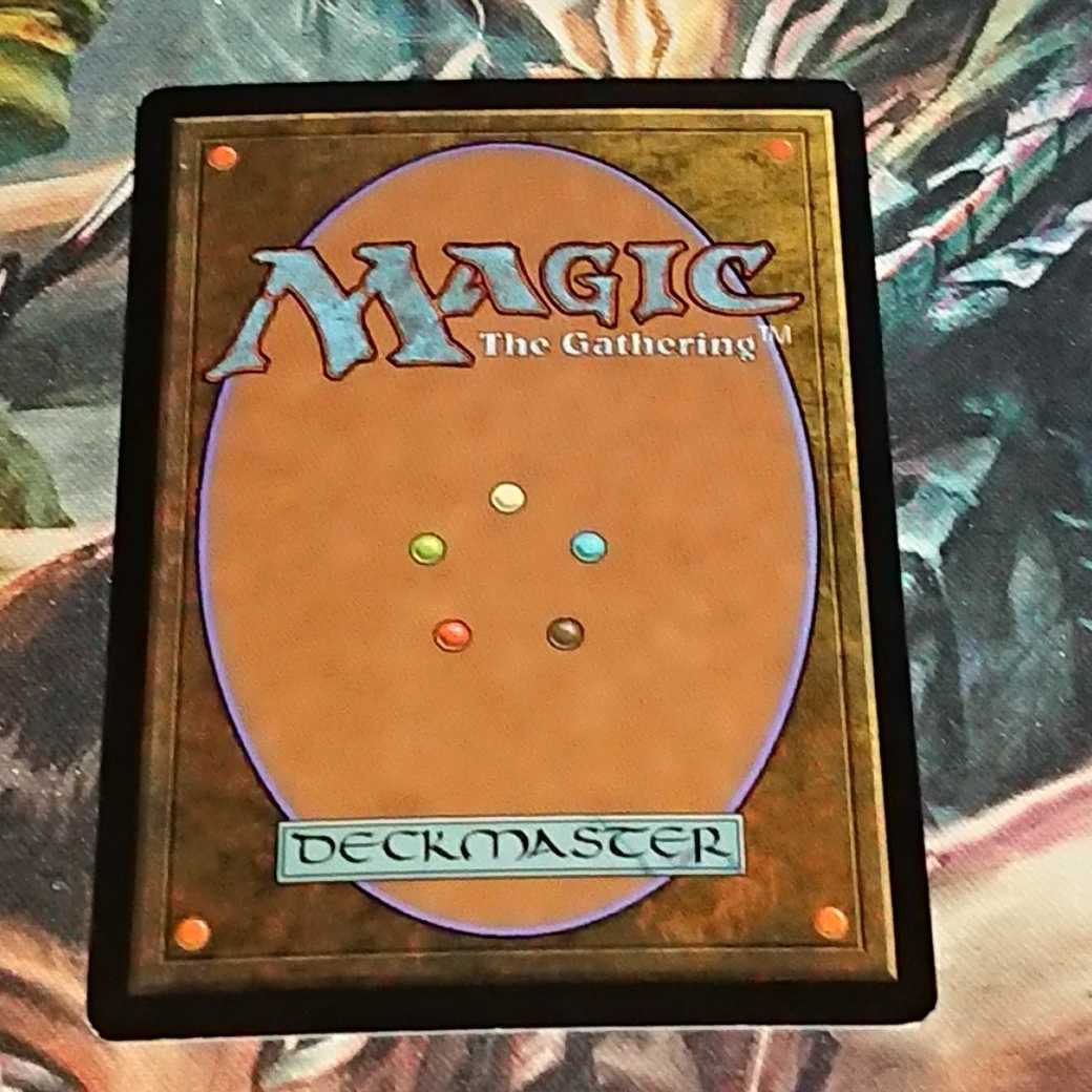 【MTG】カープルーザンの森(日)foil 第10版