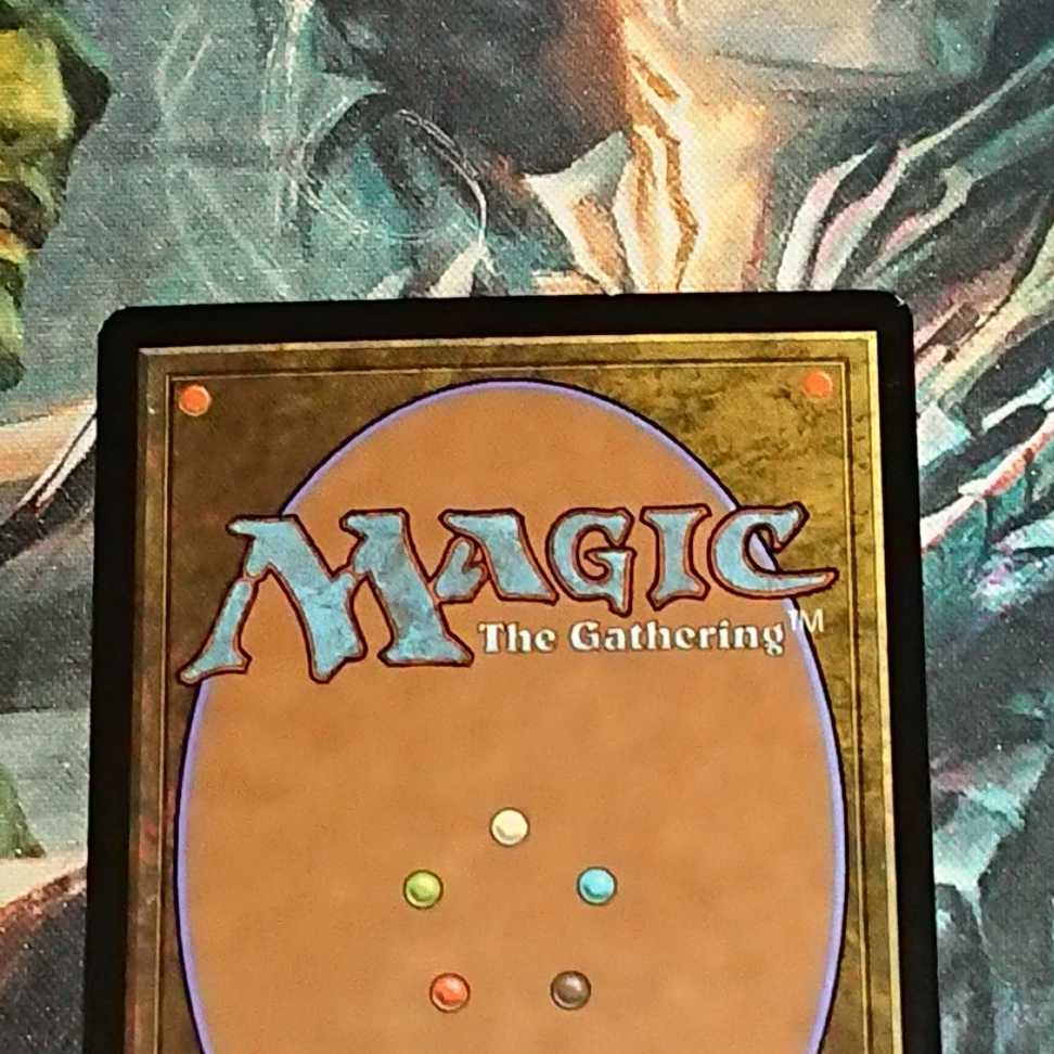 【MTG】カープルーザンの森(日)foil 第10版