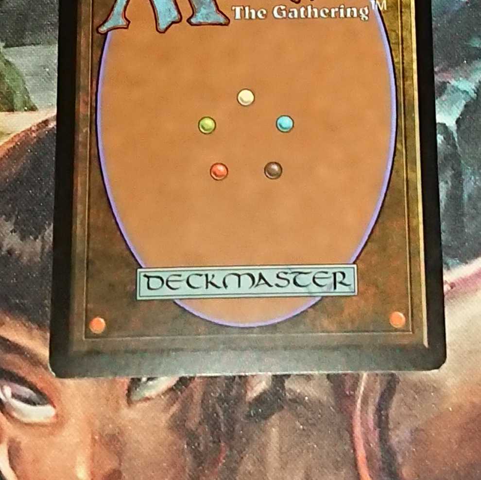 【MTG】カープルーザンの森(日)foil 第10版