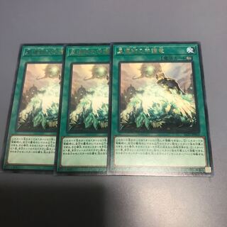 World Legacy Guardragon R 3 copies