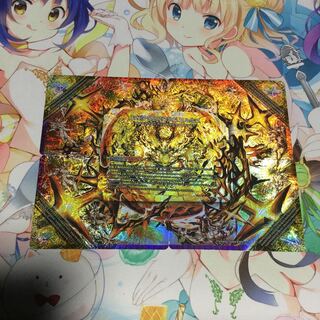 ドルマゲドン 金シク