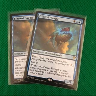 天上の餌あさり 英語版 2枚