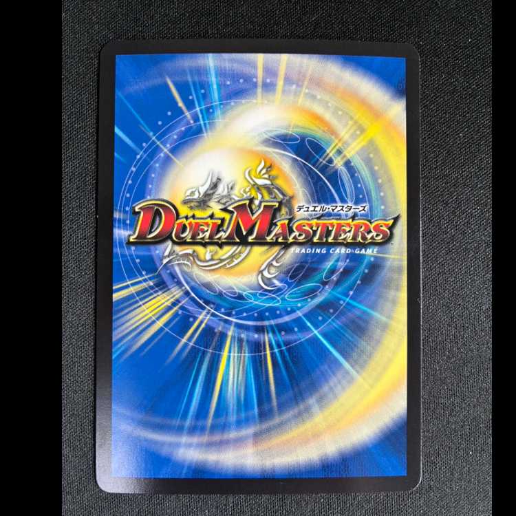 Icicle and Fire Arc's Decision (Secret Rare Version) VR 9A/20 1枚