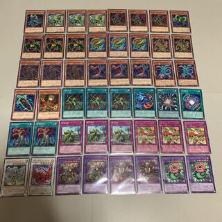 遊戯王 捕食植物 デッキ